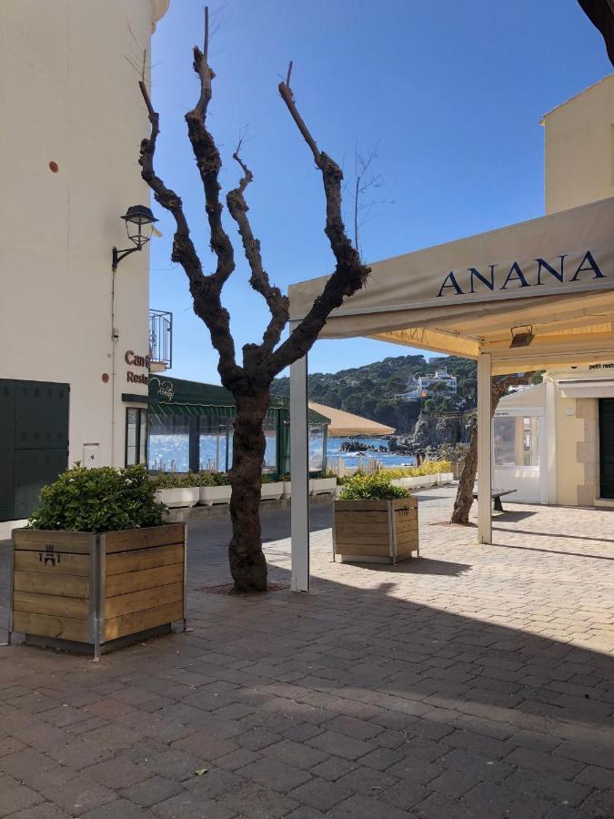 Apto En 1Ra Linea Carrer Les Voltes Parking Gratis Calella De Palafrugell Dış mekan fotoğraf